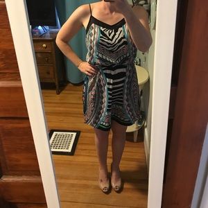 Express Zebra Print Dress